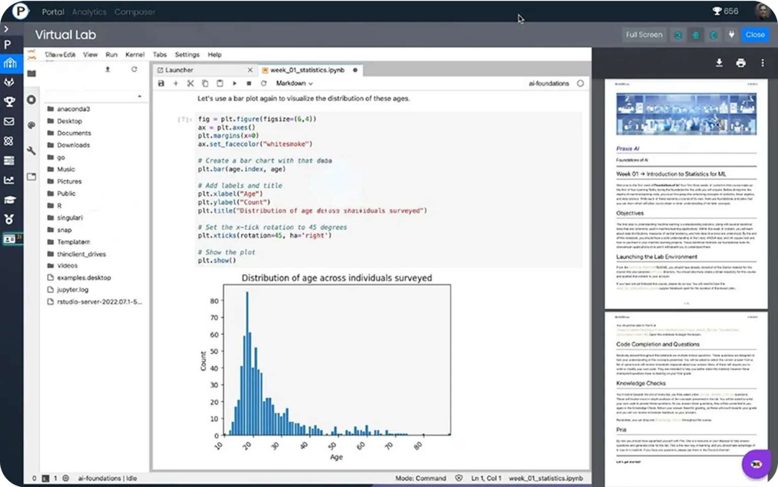 The Praxis LXP Hands-on Labs view: a live coding notebook beside the course material