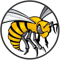 Ask Stinger, an illustrated hornet
